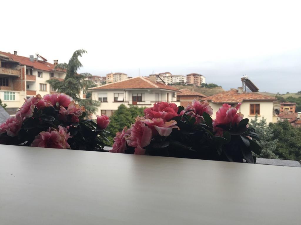 Bora Apartment Sandanski Zimmer foto